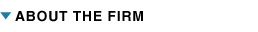 ABOUT THE FIRM
